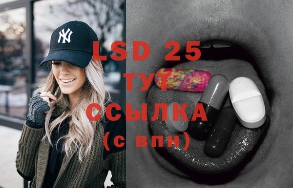 ECSTASY Липки
