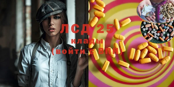 ECSTASY Липки