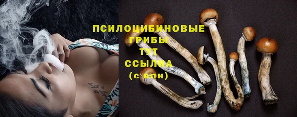 молекула духа Лихославль