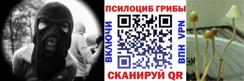 Псилоцибиновые грибы Cubensis  Учалы 